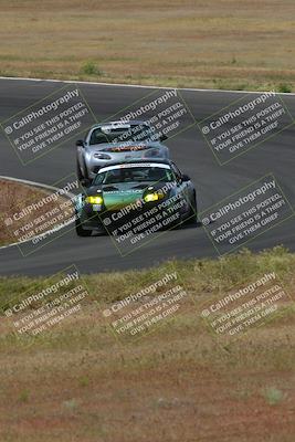 media/May-04-2024-Lucky Dog Racing (Sat) [[d39539b3f3]]/Race Pics/1015am (Turn 2)/